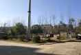 林海城南苑户型图实景图