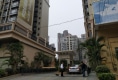 湖林松景户型图实景图