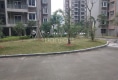 金涵小区户型图实景图