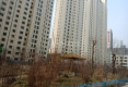 青英领绣城户型图实景图