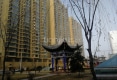 蓝天家园户型图实景图
