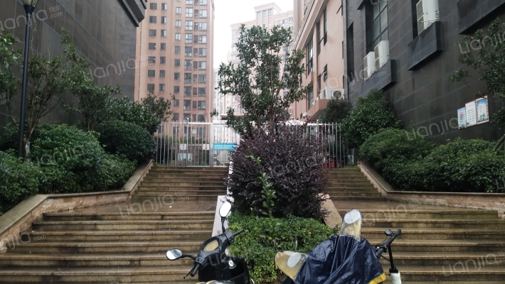 美域中央外景图