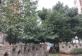 瑞丰华庭户型图实景图
