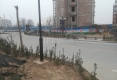 顺城国际户型图实景图