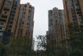 美伦阳光园户型图实景图
