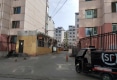 龙华居小区户型图实景图