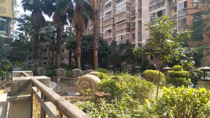 日出东方外景图