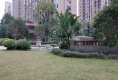 泰禾红郡户型图实景图