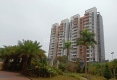 金河湾户型图实景图