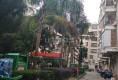 富华嘉园户型图实景图