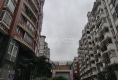 盈丰佳园户型图实景图