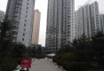 圣泽苑B区户型图实景图