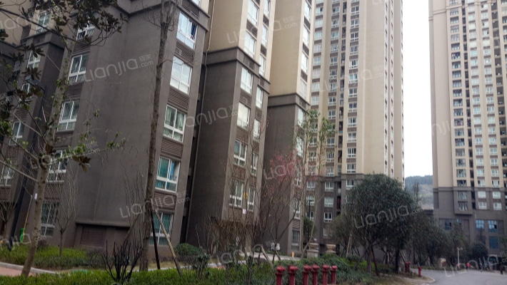 龙城家园外景图