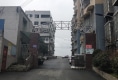 城东村安置小区户型图实景图