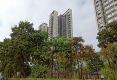 金湖明珠户型图实景图