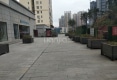 碧海龙苑户型图实景图