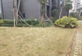 美伦阳光园户型图实景图