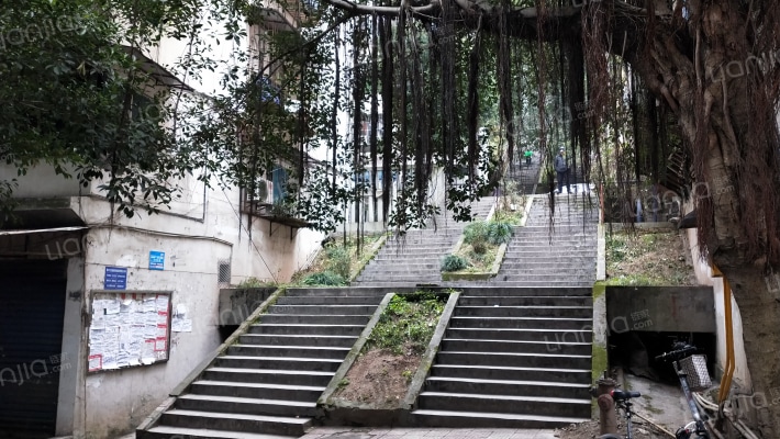 兴茂花园外景图