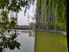 汉北玺园实景图