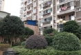城东花苑B区户型图实景图