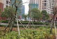金马小区户型图实景图