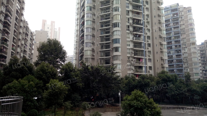 金山丽苑A区外景图