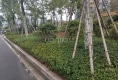 东晟泰和园户型图实景图