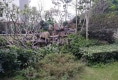 汇景园户型图实景图