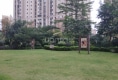 万达华城D区户型图实景图