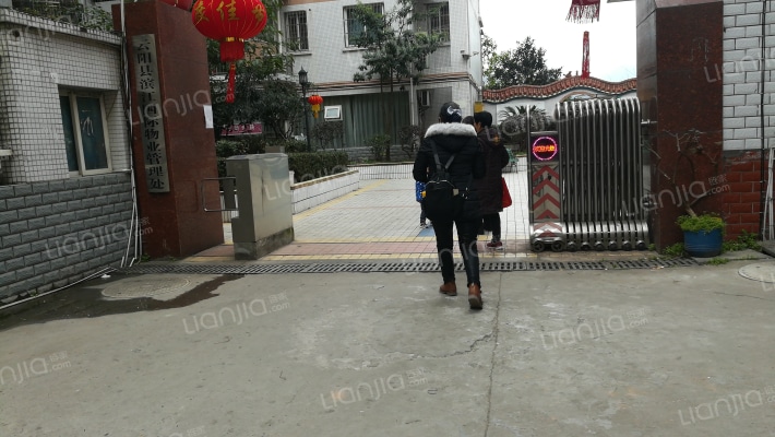 滨江国际外景图