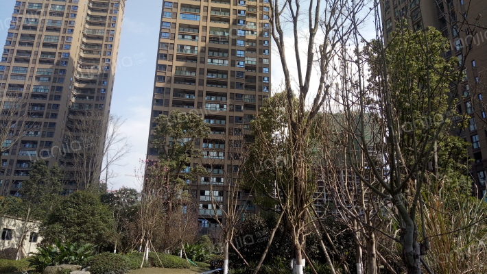 久恒城中央美地外景图