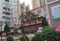 景缘居户型图实景图
