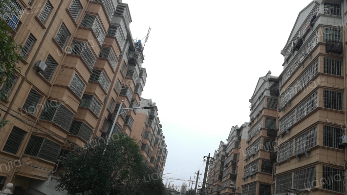 青岚社区外景图