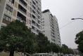 金山瑞景户型图实景图