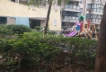 霞辉名城户型图实景图