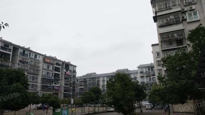 皂角文化小区外景图