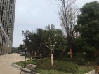 兰江公园里实景图