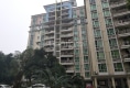 锦湖阁户型图实景图