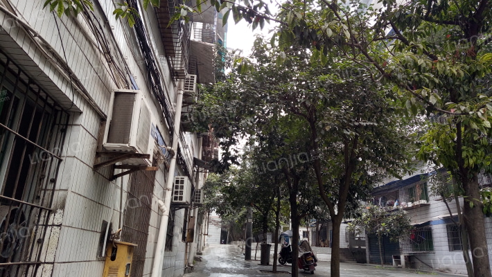 重庆大桥家园外景图