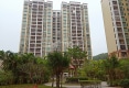 淘金湾北区户型图实景图