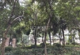 名阳帝景户型图实景图