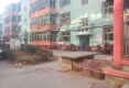 金园小区户型图实景图