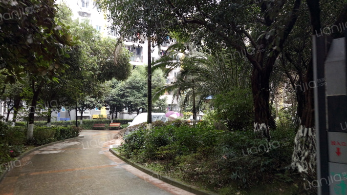 银杉豪庭外景图