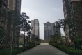富鑫华府户型图实景图