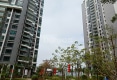 天河湾金湖蓝天户型图实景图