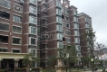 东城书香户型图实景图