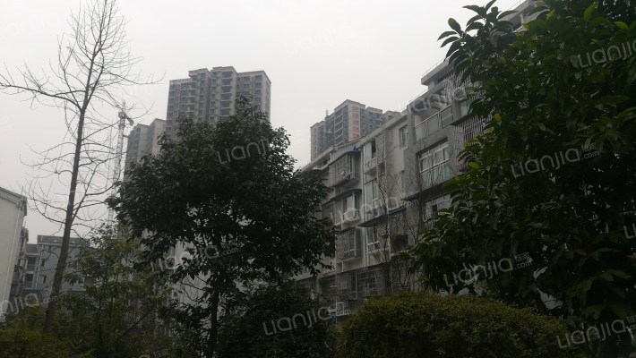 友业时代花园外景图