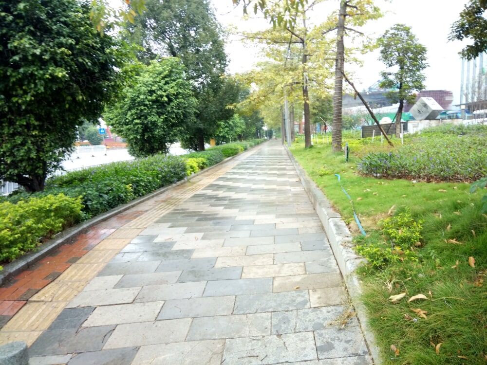 钜隆雅居蓝湾实景图