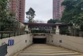 泰禾红树林户型图实景图
