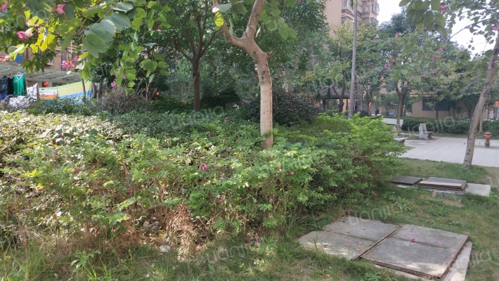 水岸御景外景图